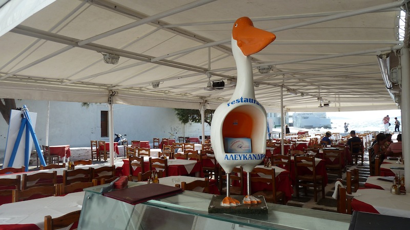 Mykonos pelican.JPG